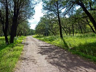 Chiricahua Mountains